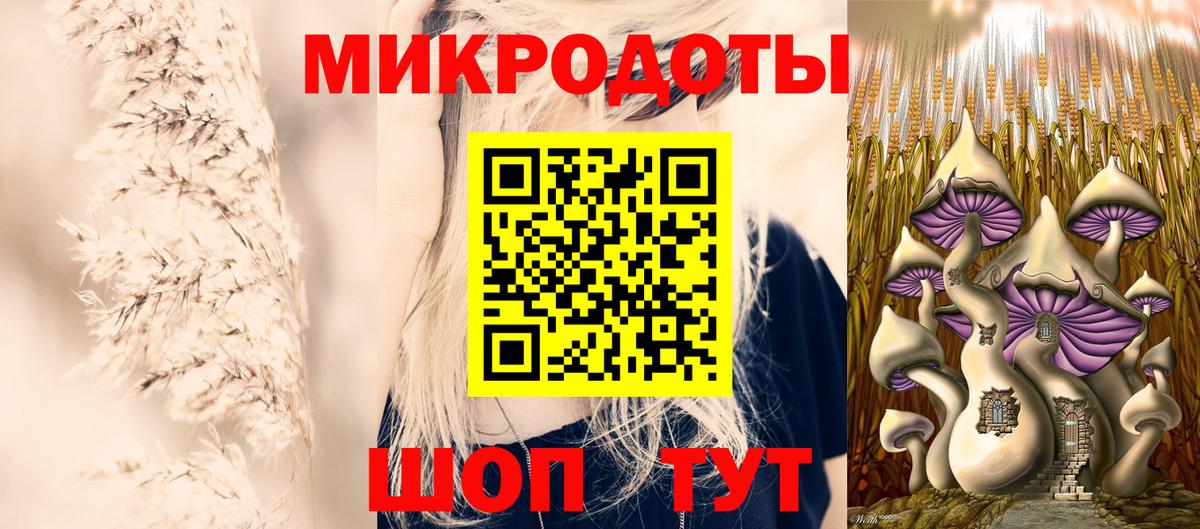 Псилоцибиновые грибы GOLDEN TEACHER Северобайкальск